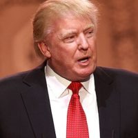 what-are-the-odds-trump-will-survive?