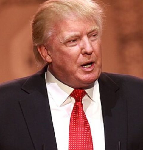 what-are-the-odds-trump-will-survive?