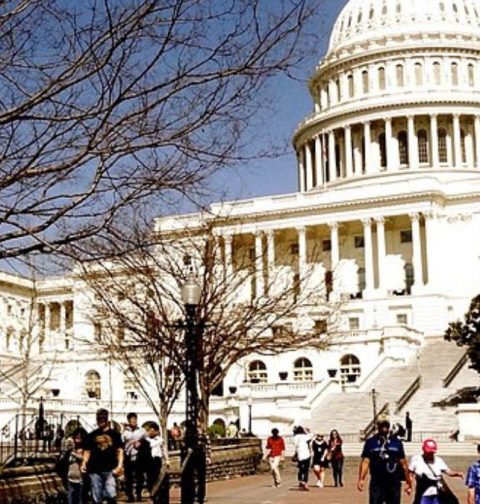 gen-z-congressional-staffers-demand-shorter-work-hours