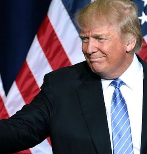 this-trump-is-different-he-understands-the-machine.