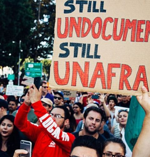 billions-have-been-spent-on-controversial-‘immigration-aid’-–-$22-billion-and-counting