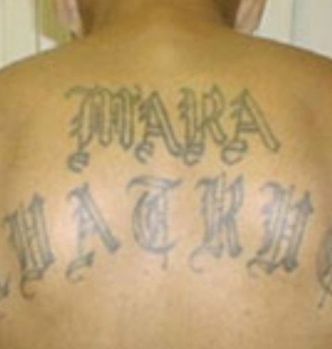 department-of-justice:-ms-13-leader-arrested-in-virginia