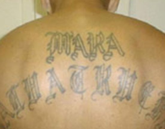 department-of-justice:-ms-13-leader-arrested-in-virginia