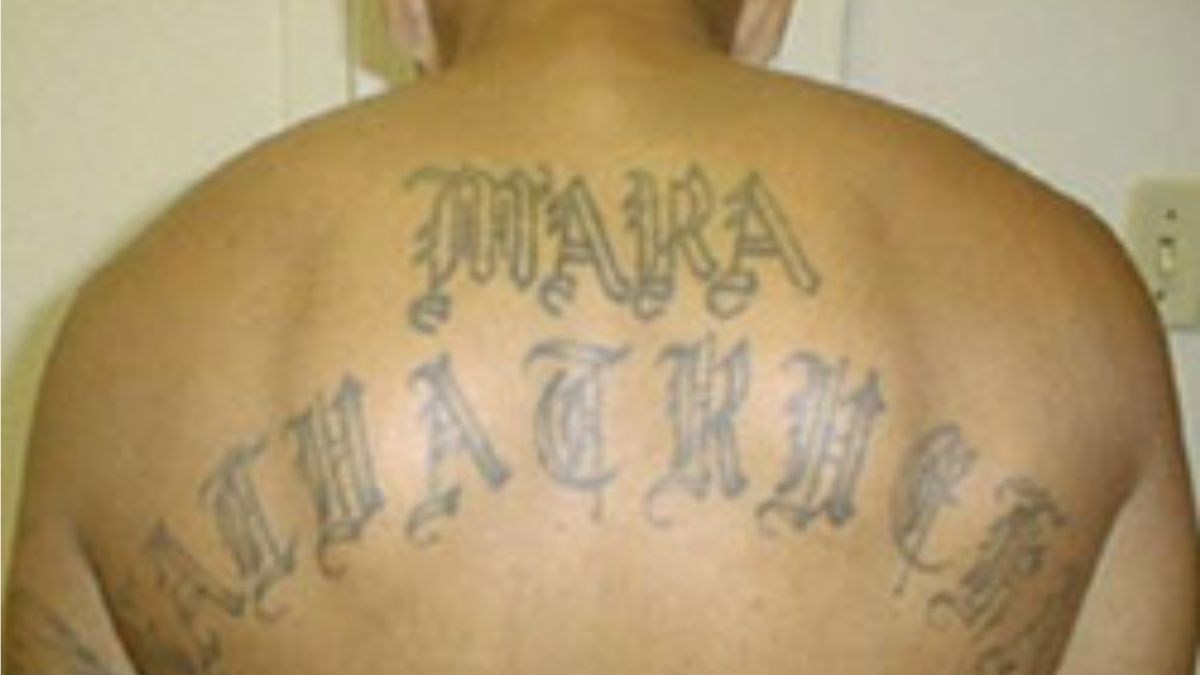department-of-justice:-ms-13-leader-arrested-in-virginia