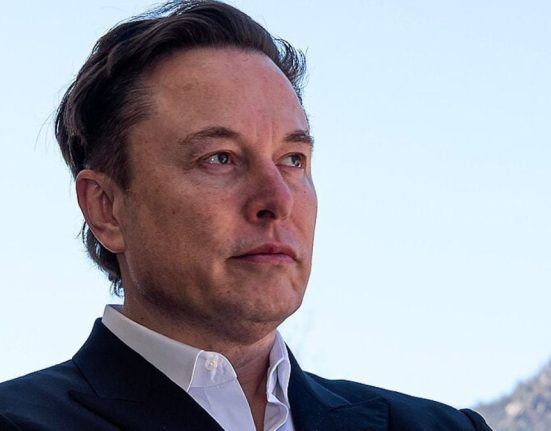 now-republicans-are-trying-to-defeat-elon-musk-–-they-are-not-(yet)-our-friends