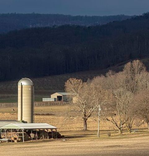 usda-paid-to-study-‘queer-farmers’,-‘latinx’-masculinity,-and-worse-on-taxpayer-dime