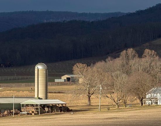 usda-paid-to-study-‘queer-farmers’,-‘latinx’-masculinity,-and-worse-on-taxpayer-dime