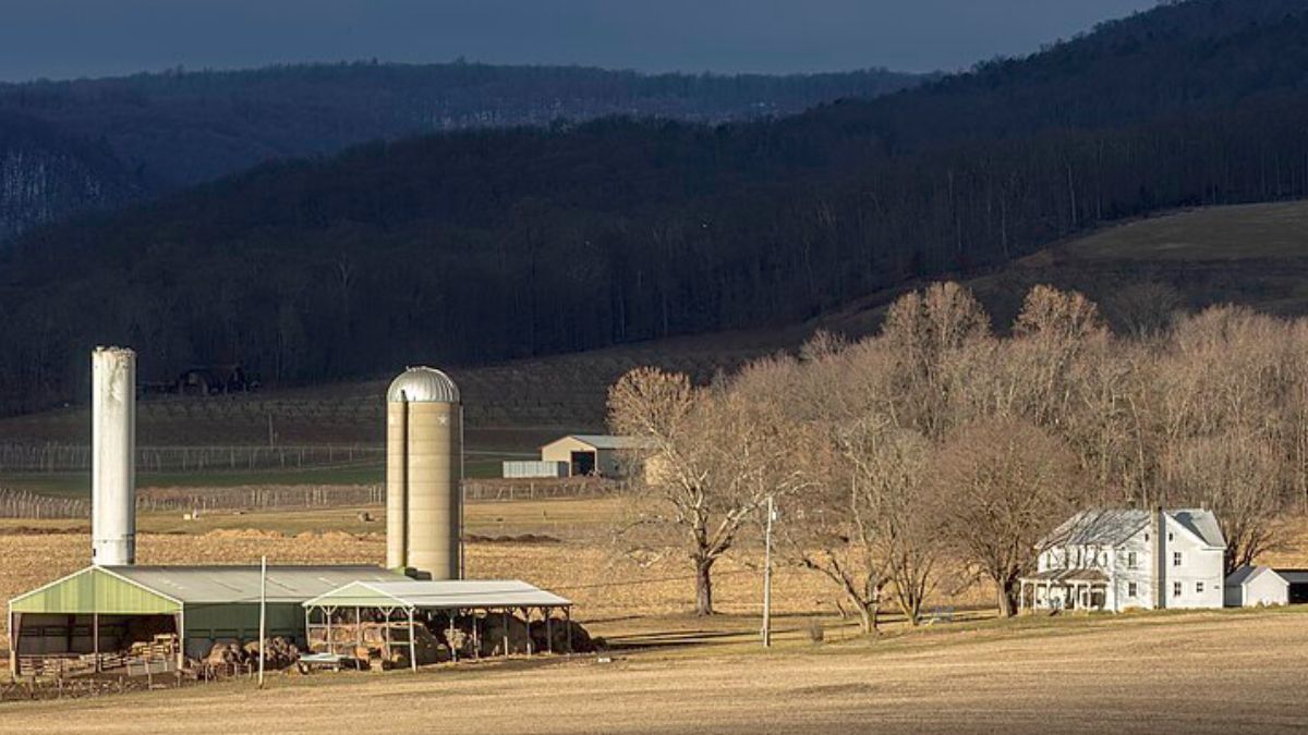 usda-paid-to-study-‘queer-farmers’,-‘latinx’-masculinity,-and-worse-on-taxpayer-dime