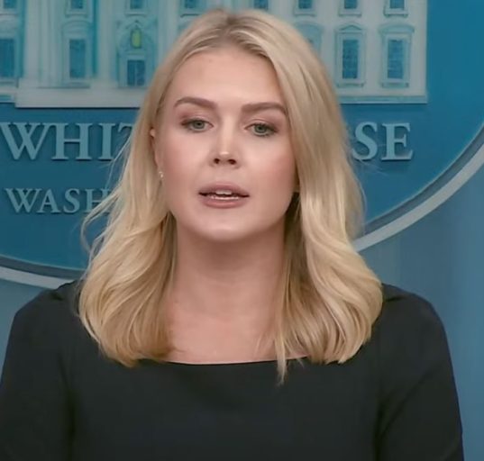 white-house-prepares-to-go-after-noncitizens-who-defraud-entitlement-programs