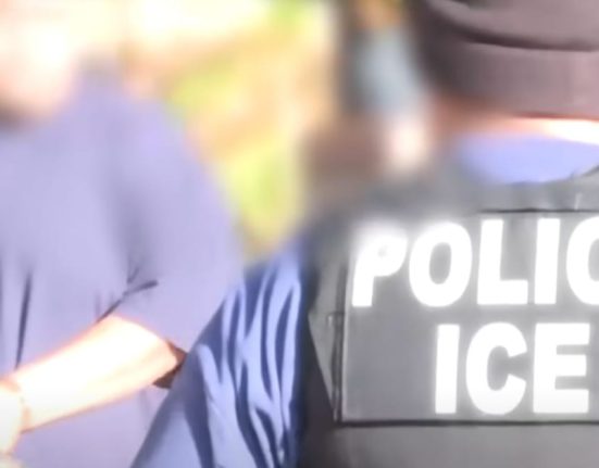poll:-immigration-policies-have-improved-under-trump