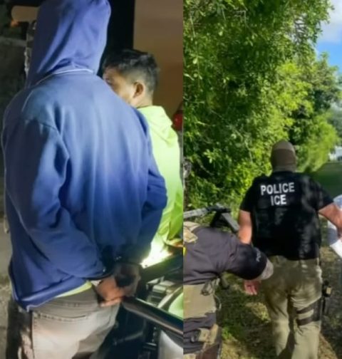 ice-arrests-nearly-800-in-miami-operation