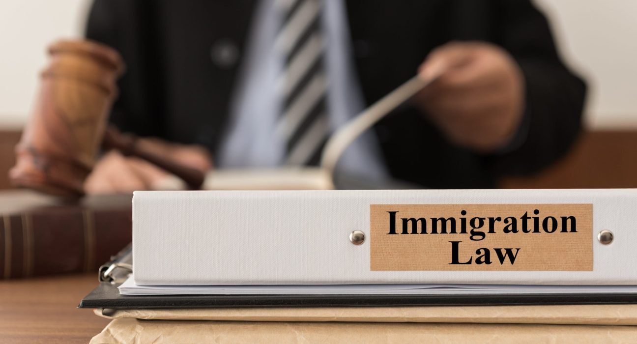 the-rule-of-law:-a-visit-to-immigration-court