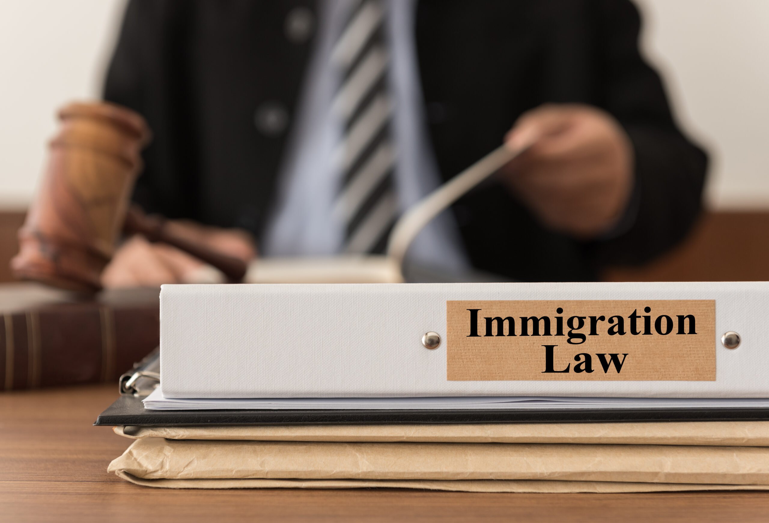the-rule-of-law:-a-visit-to-immigration-court